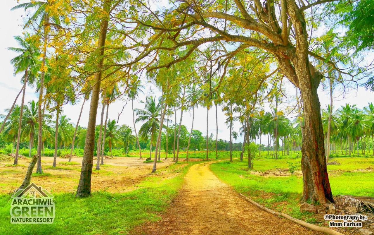 Arachiwil Green Nature Resort Puttalam Exterior photo