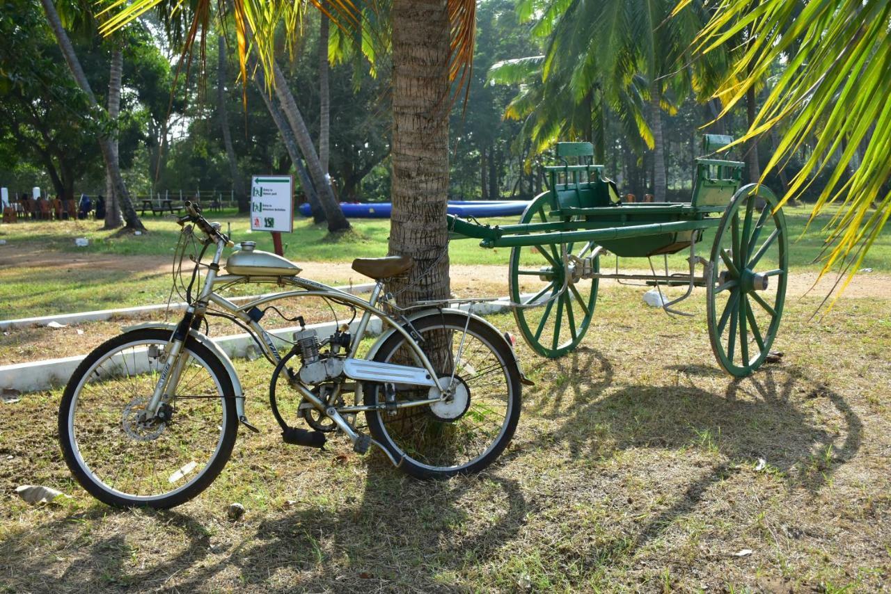 Arachiwil Green Nature Resort Puttalam Exterior photo