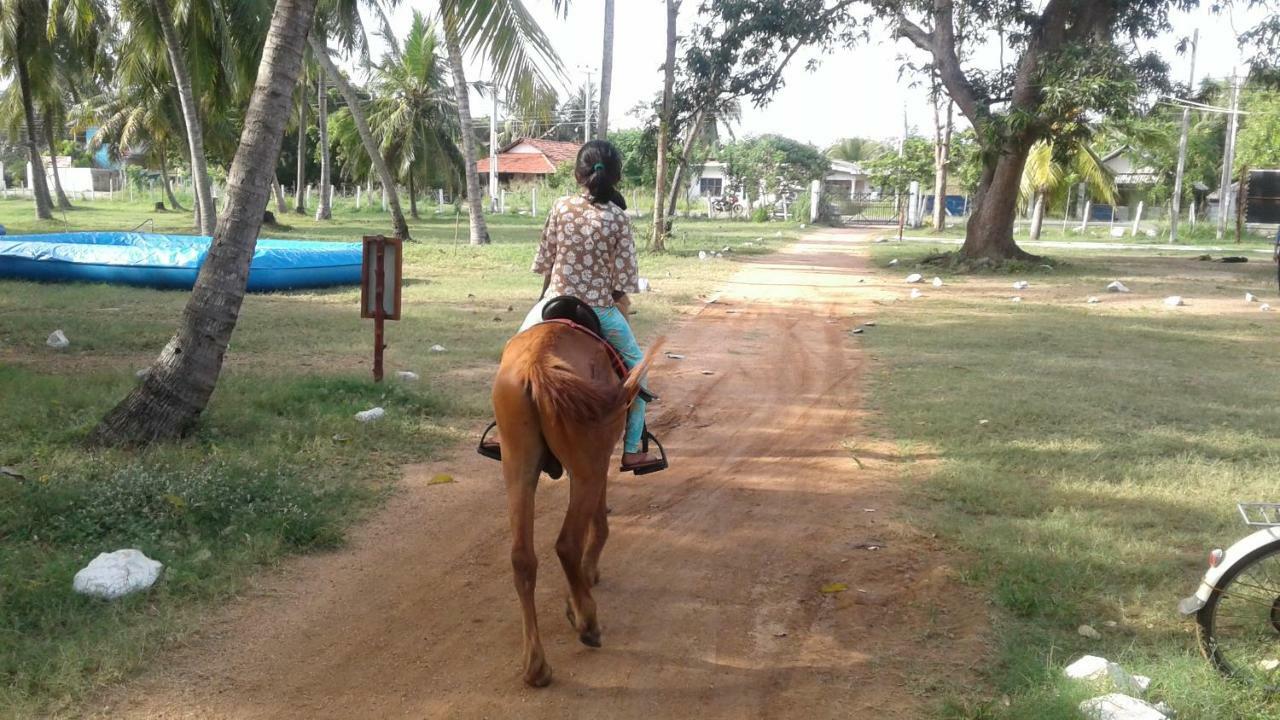 Arachiwil Green Nature Resort Puttalam Exterior photo